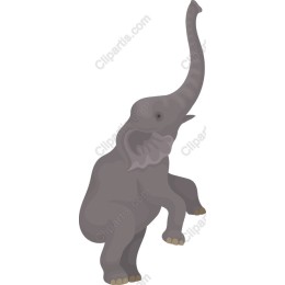 Playful Elephant