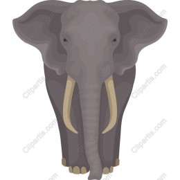 Majestic Elephant