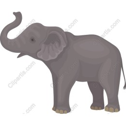 Charming Elephant