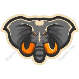 Fierce Elephant