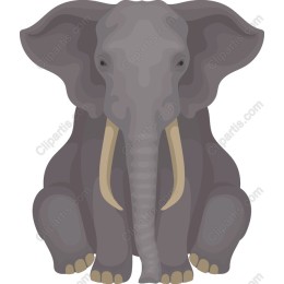 Majestic Elephant