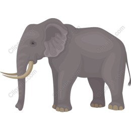 Majestic Elephant