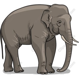 Majestic Elephant