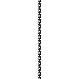 Chain Link