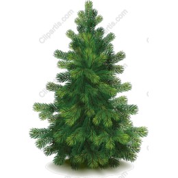 Lush Green Christmas Tree