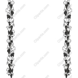 Grape Vine Border