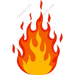 Vibrant Flame