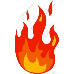 Vibrant Flame