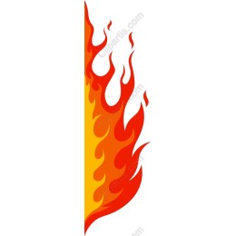 Vibrant Flame
