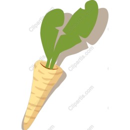 Vibrant Parsnip