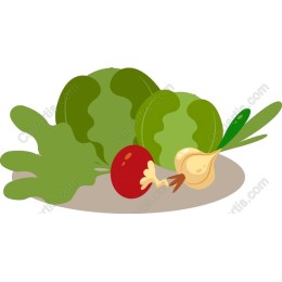 Vibrant Fresh Vegetable