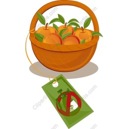 Fresh Orange Basket