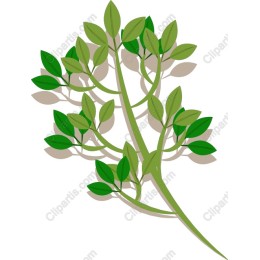 Lush Green Leaf