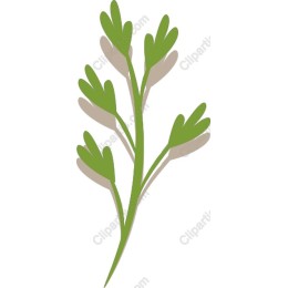 Elegant Green Herb