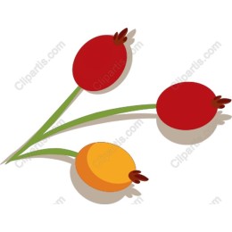 Vibrant Three Fruit