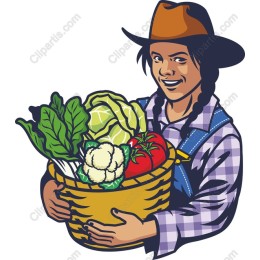 Harvest Joy