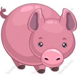 Cute Pink Pig