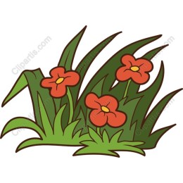Vibrant Red Flower in Grass