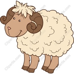 Cheerful Sheep