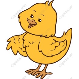 Adorable Yellow Chick