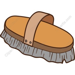 Grooming Brush