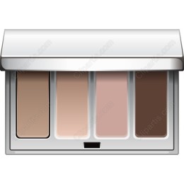 Chic Eyeshadow Palette