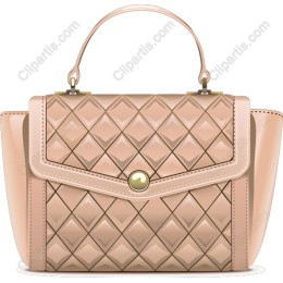 Elegant Handbag