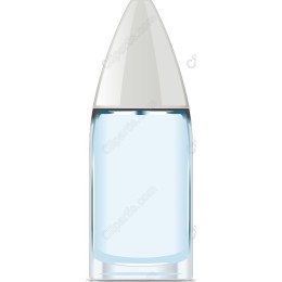 Elegant Water Bottle