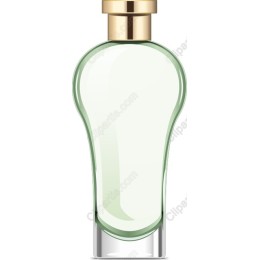 Elegant Modern Perfume Bottle