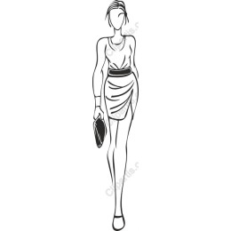 Chic Fashionista