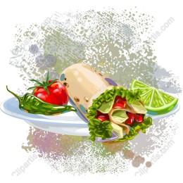 Vibrant Burrito Plate