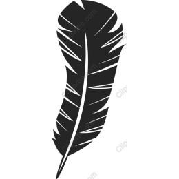 Elegant Black Feather