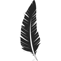Black Feather