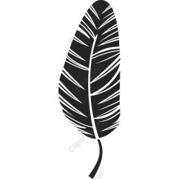 Elegant Black Feather Leaf
