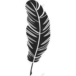 Elegant Feather
