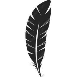Elegant Black Feather