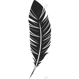 Black Feather