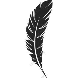 Elegant Black Feather