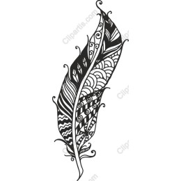 Elegant Feather