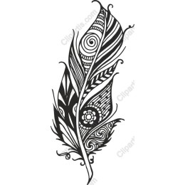 Intricately ed Feather