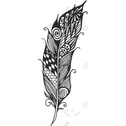 Whimsical Feather