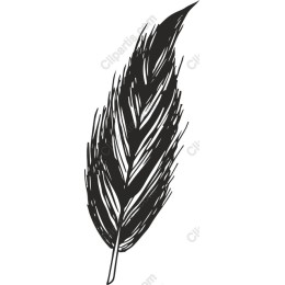 Black Feather