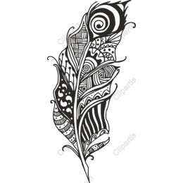 Intricate Feather