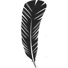 Black Feather