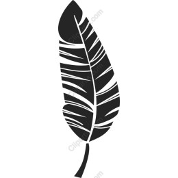 Elegant Feather