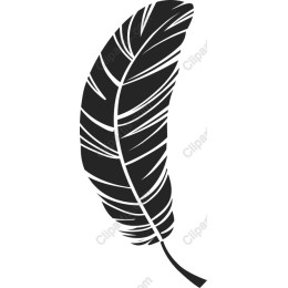 Black Feather