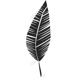 Stylish Monochromatic Leaf