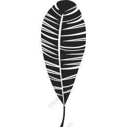 Minimalist Black and White Leaf