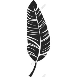 Elegant Black Feather