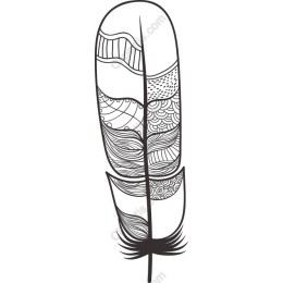 Intricate Feather